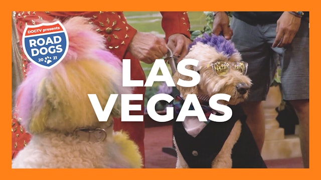 Road Dogs: Las Vegas