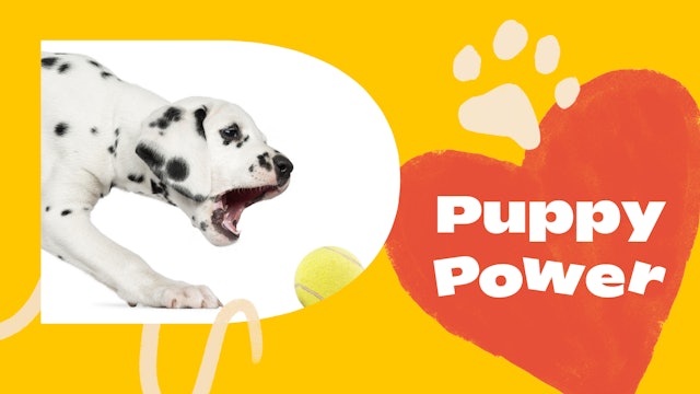 Puppy Collection: Puppy Power