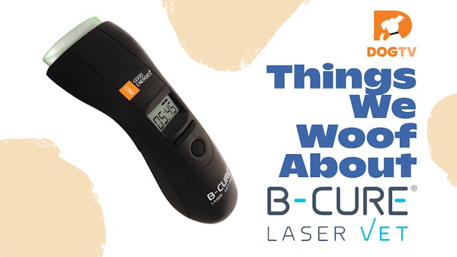 Things We Woof About: B-Cure Laser Ve...