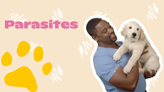 Happy Puppy: Parasites