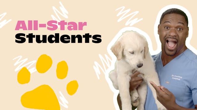Happy Puppy: All Star Students