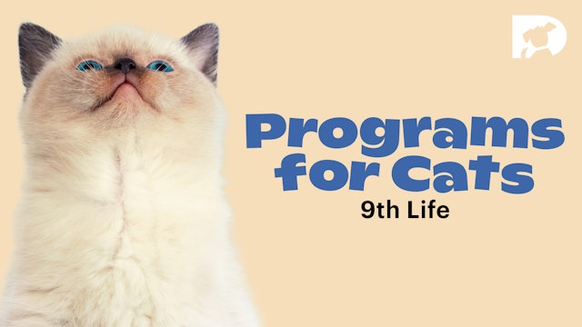 Programs for Cats: Life 9