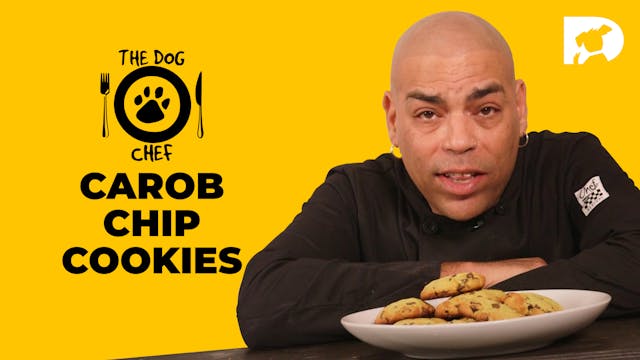 The Dog Chef: Carob Chip Cookies