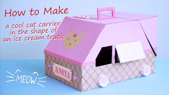 How to Make an Ice Cream Cat Carrier