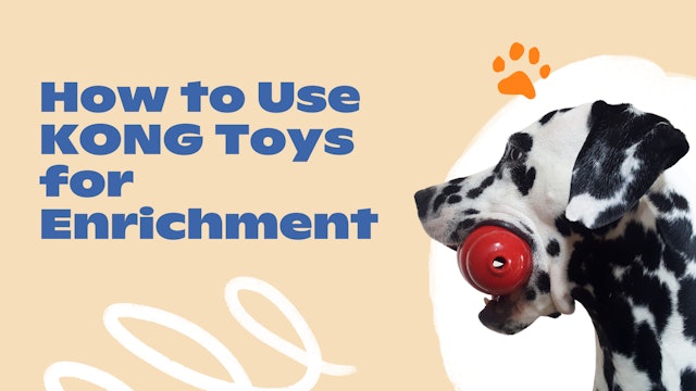 New Normal: How to Use KONG Toys for Enrichment