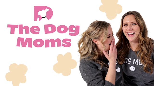 The Dog Moms: Pawsitive Development