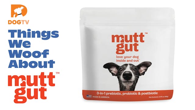Things We Woof About: MuttGut