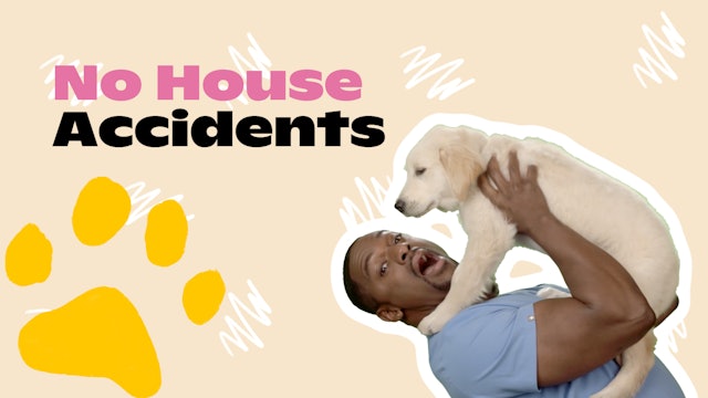 The Happy Puppy: No House Accidents