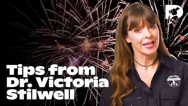  Victoria Stilwell Discusses Creating a Safe Space