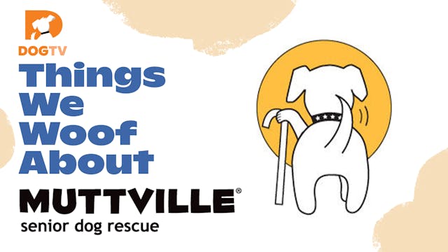 Things We Woof About: Muttville