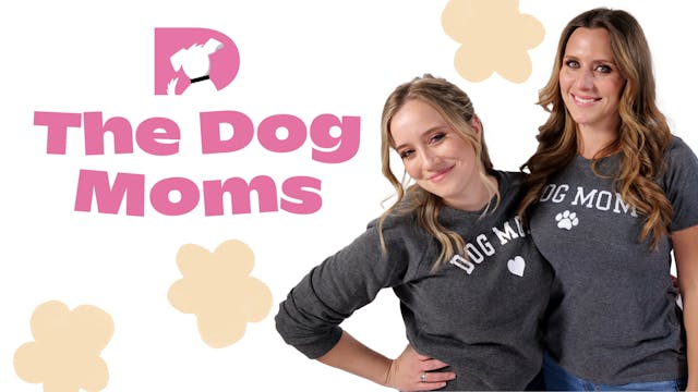 The Dog Moms: Companion Care