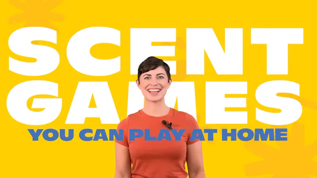 Scent Games You Can Play At Home