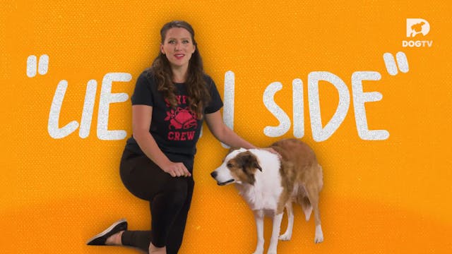 Lie on Side