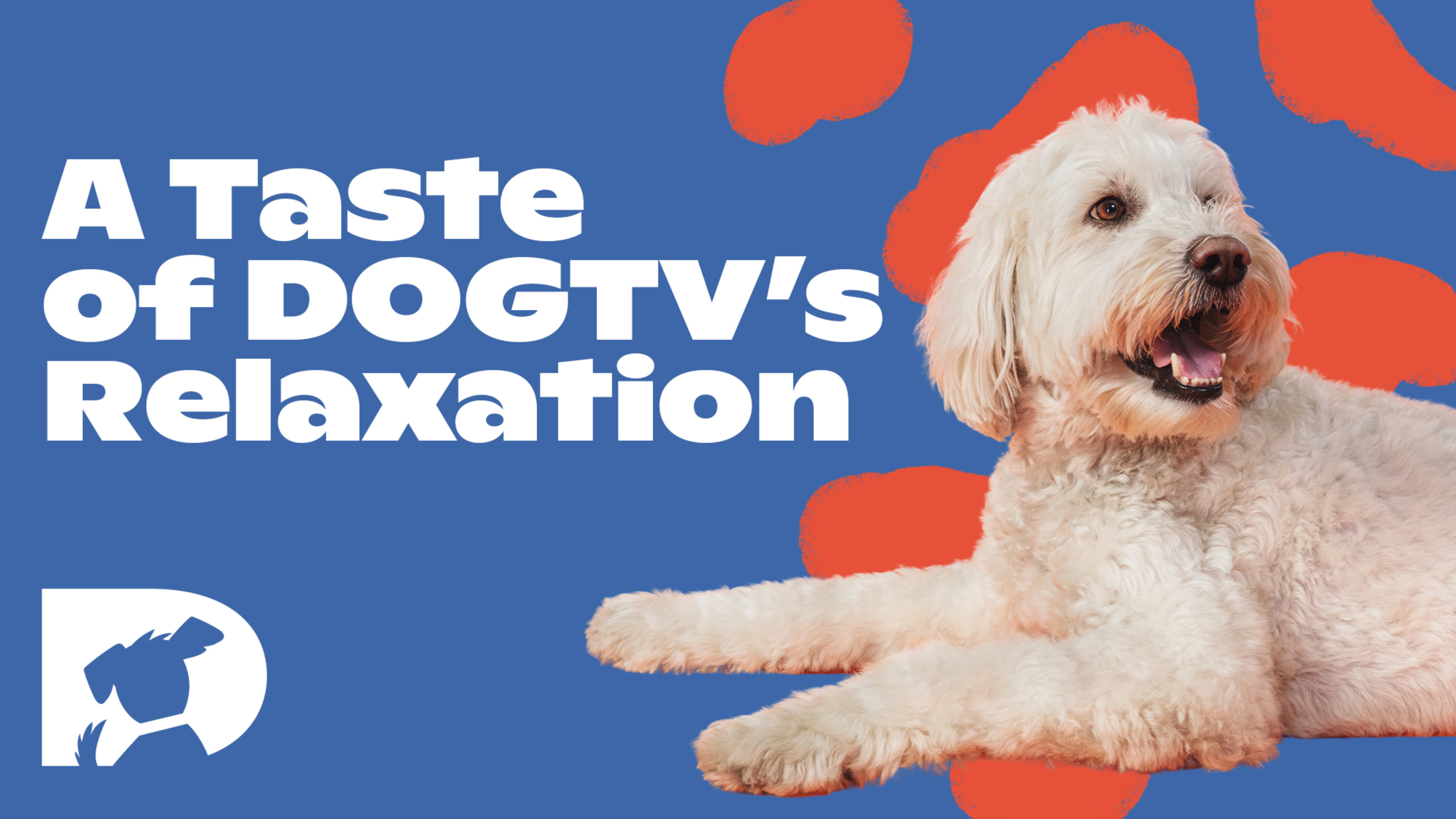 A Taste of DOGTV's Relaxation