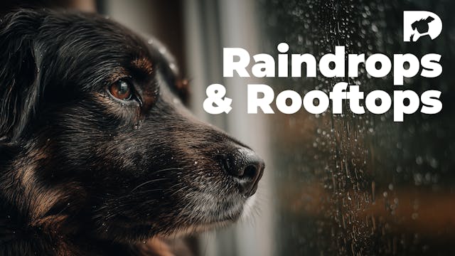 Raindrops & Rooftops