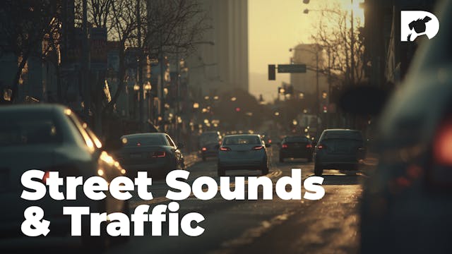 Street Sounds & Traffic