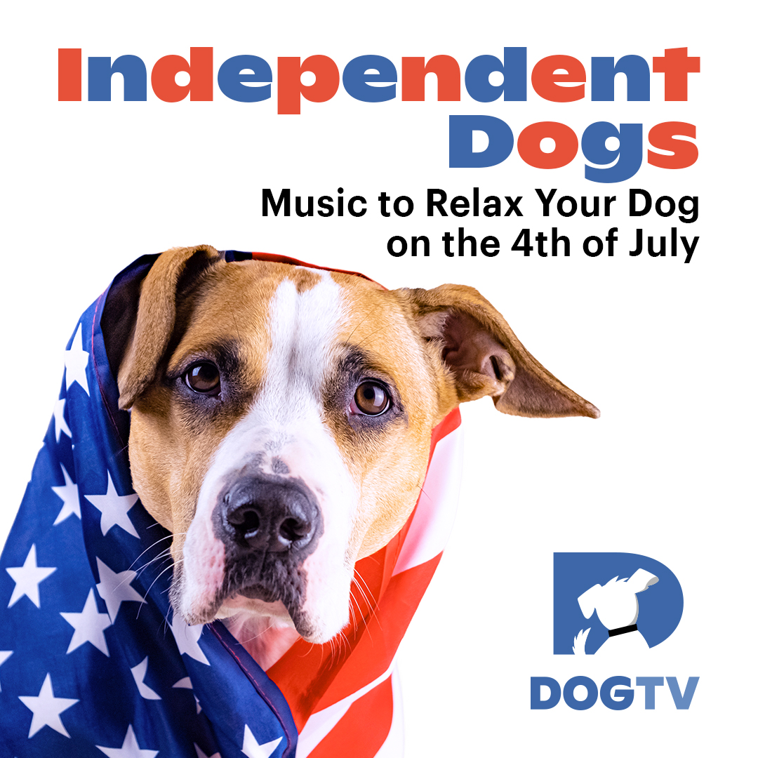 Independent Dogs: Music to Relax Your Dog on the 4th of July