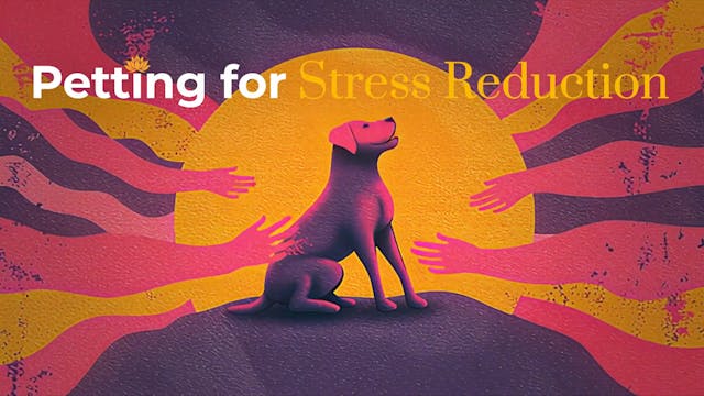 Petting for Stress Reduction