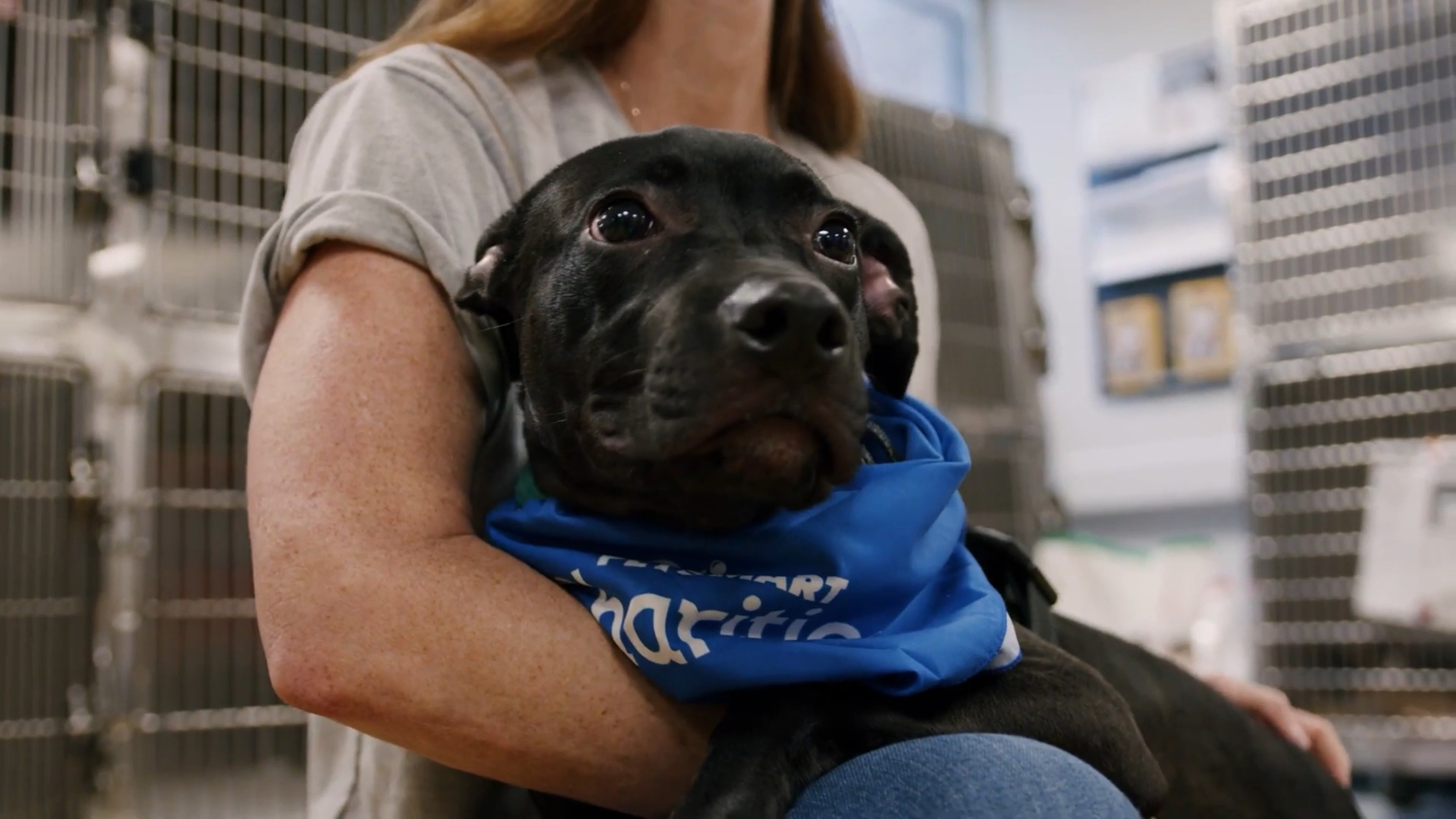 Learning, Leading, and Loving