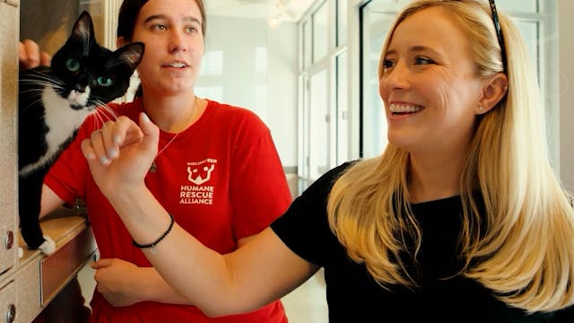 Paws Across Communities