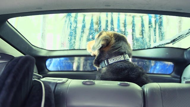 Car Wash
