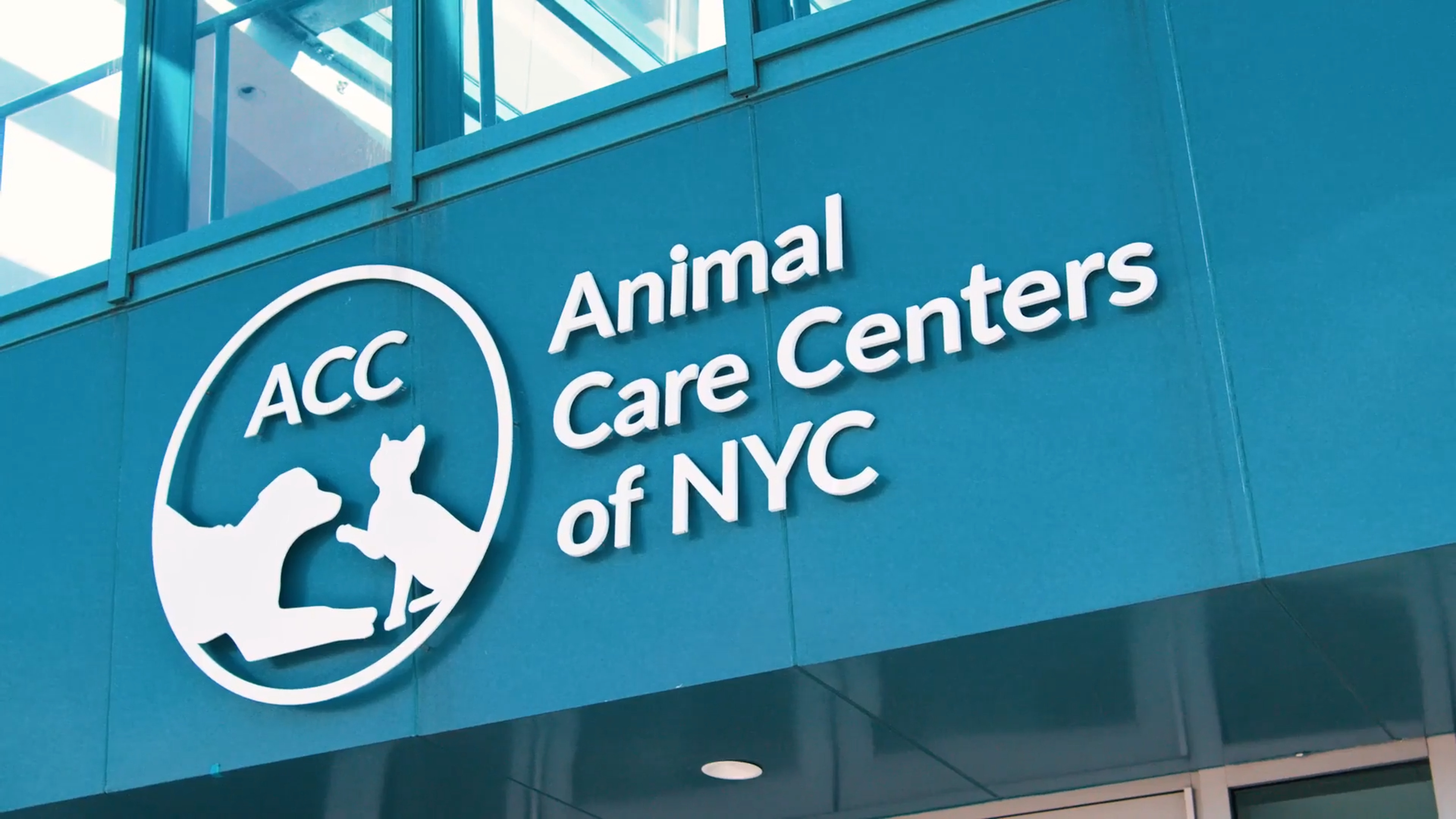 Big Hearts in the Big Apple