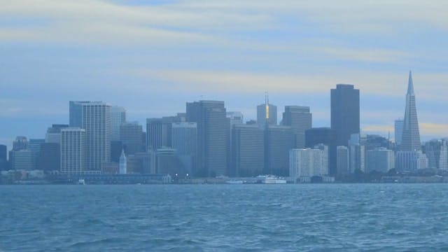 Check Out the View