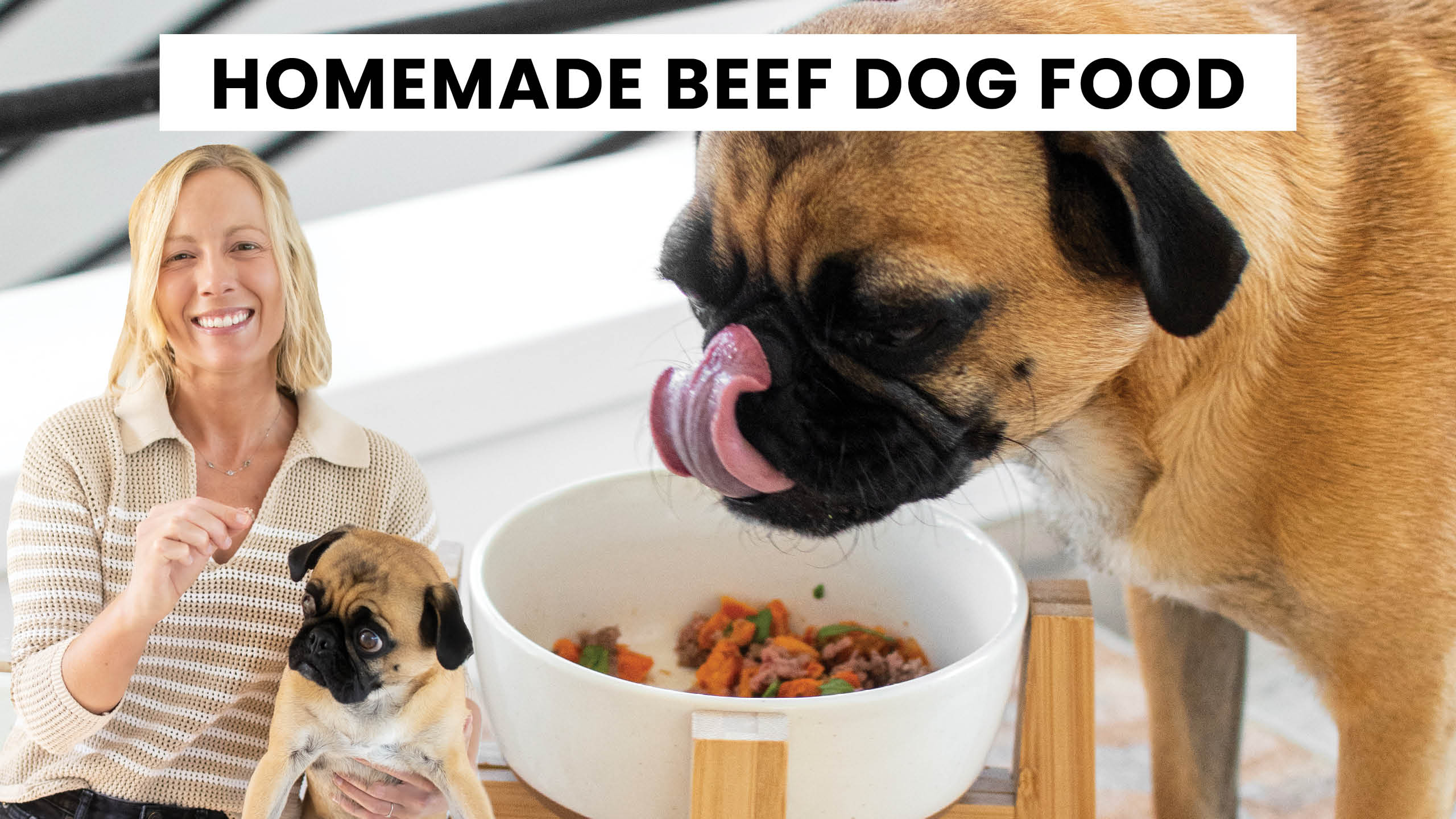 Homemade Dog Burger Bowls