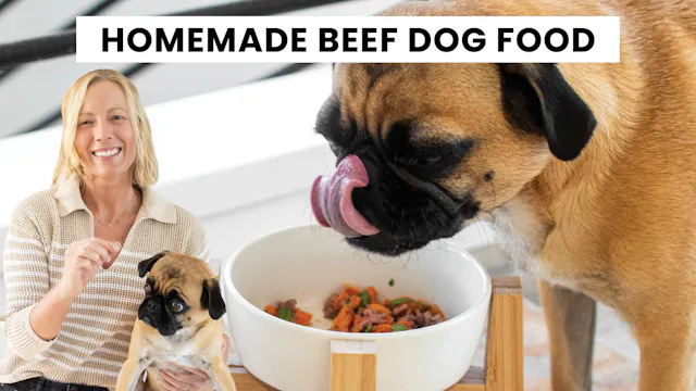 Homemade Dog Burger Bowls