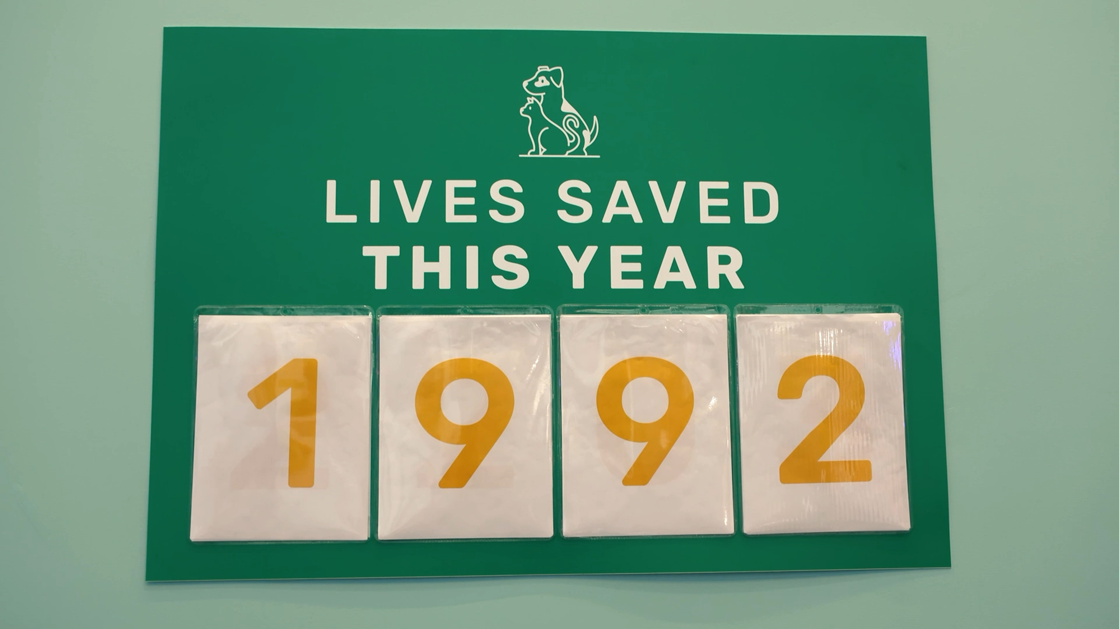 Second Chances in Arizona