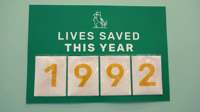 Second Chances in Arizona