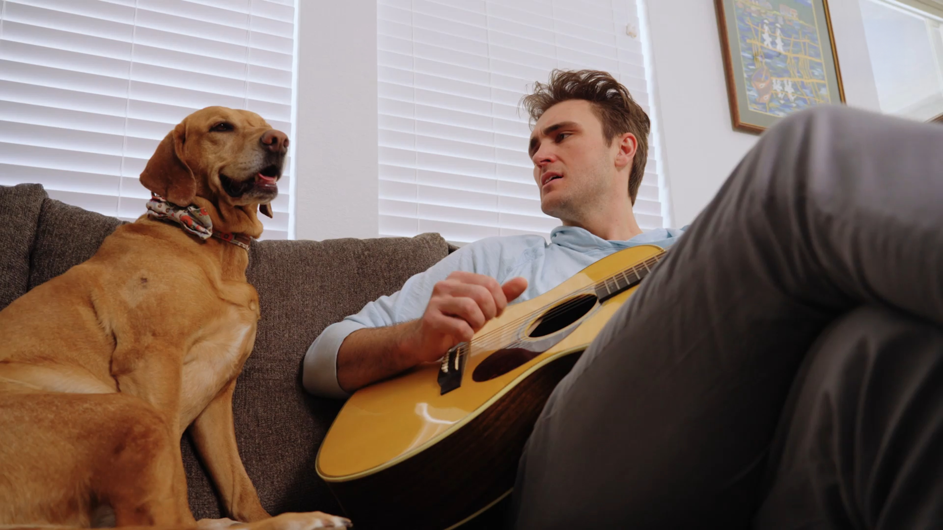 Sound Therapy and Canine Hearing