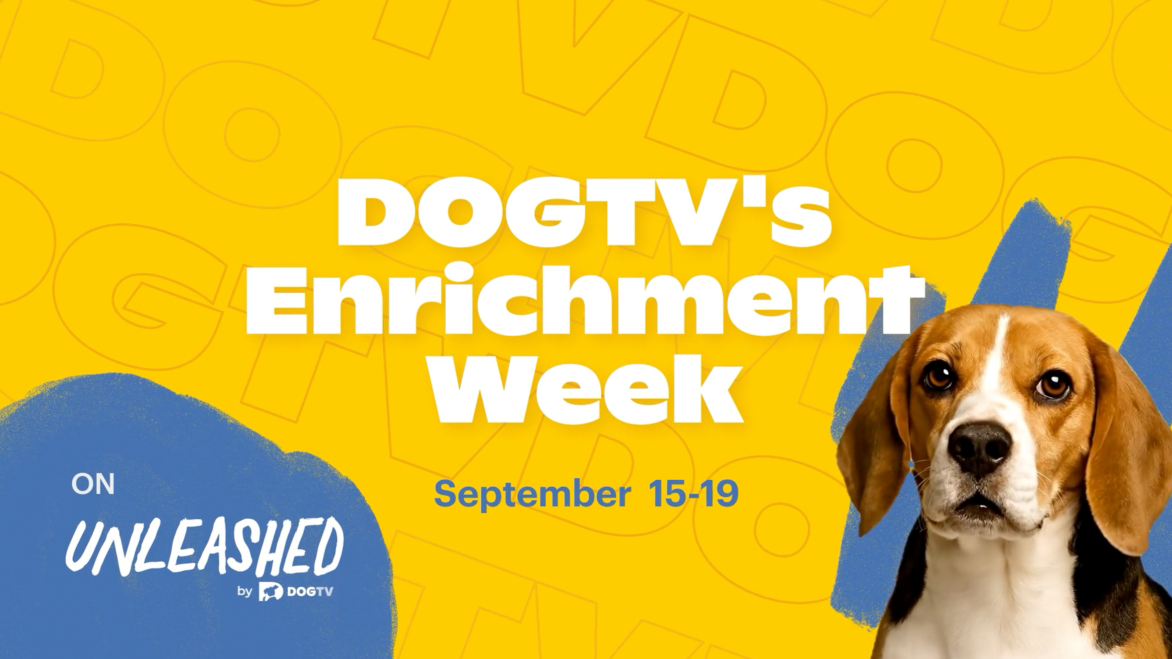 Celebrate DOGTV’s Enrichment Week
