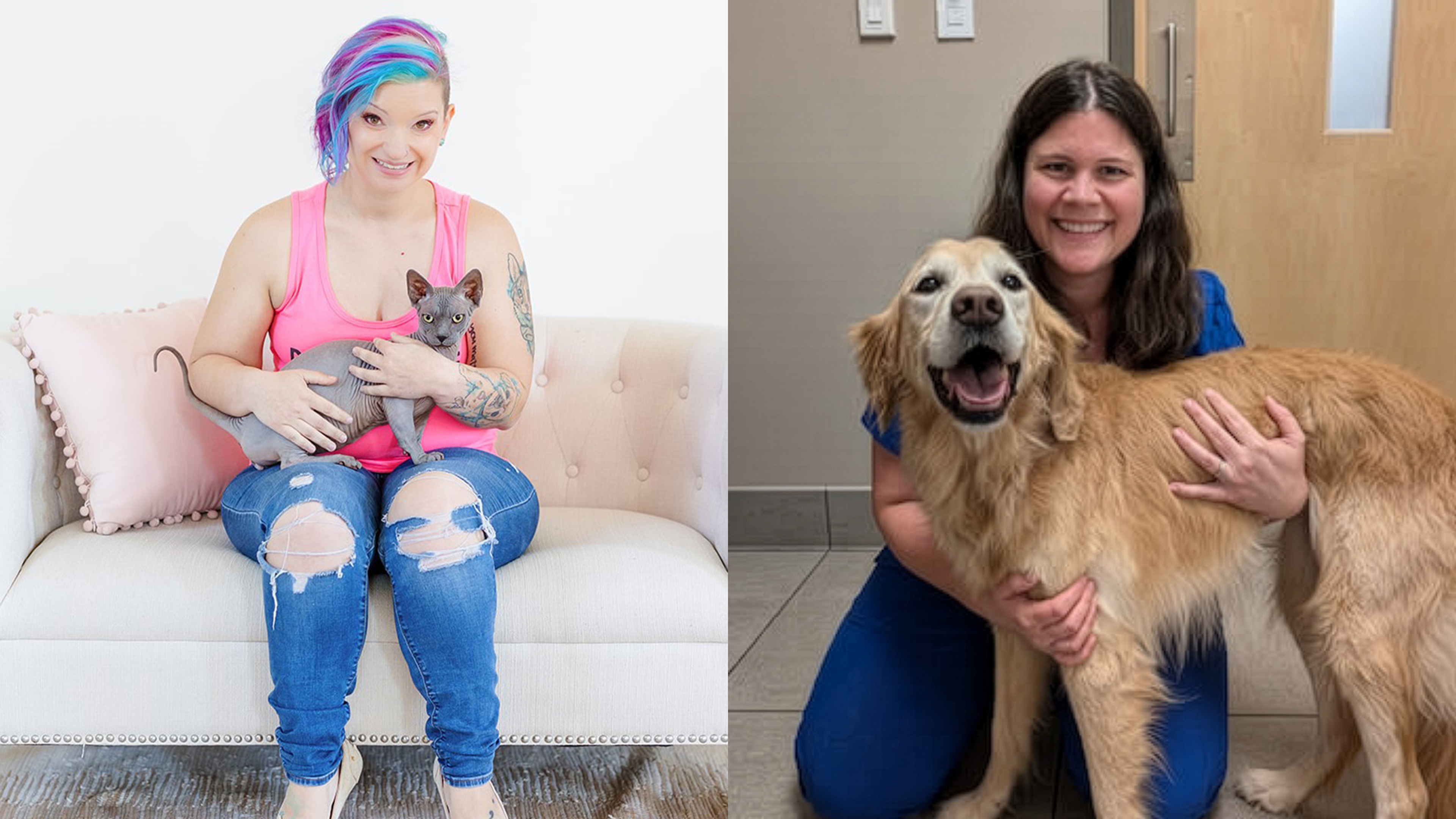 Cat Behavior Secrets & The Truth About Canine Fitness