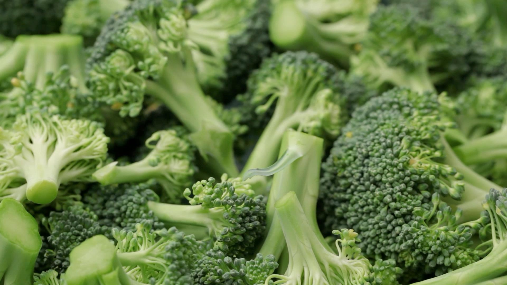 Broccoli