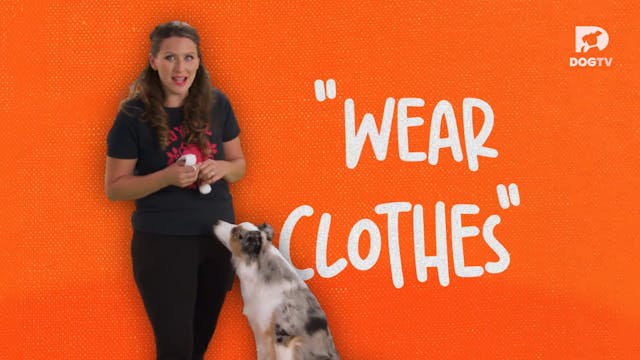Wear Clothes
