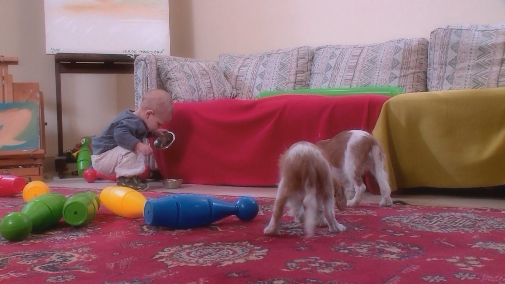 Two Puppies and a Toddler