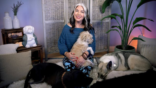 Weekend Meditations with Amanda Ree