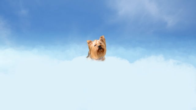 Cloud Watcher