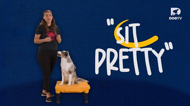 Sit Pretty