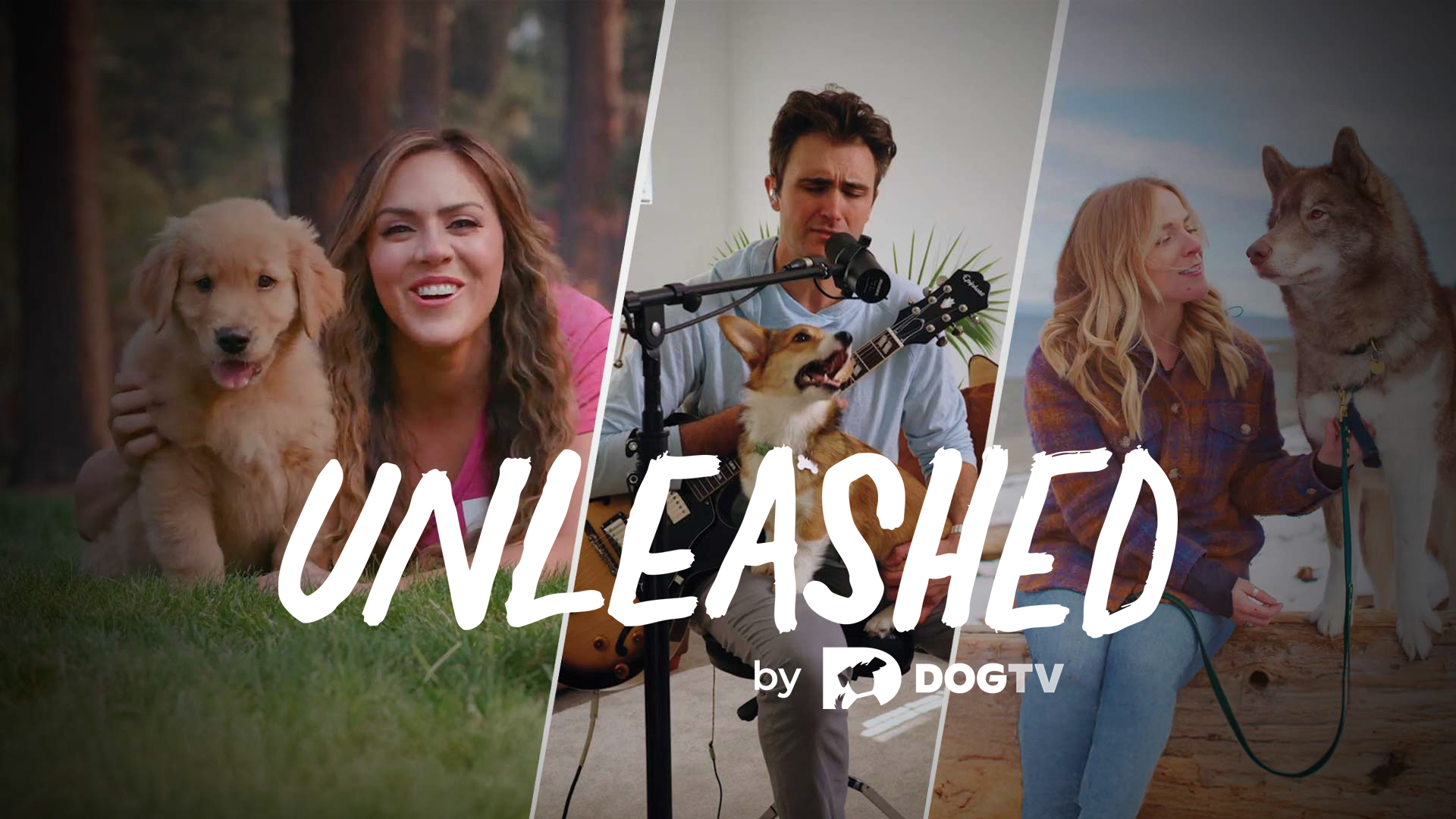 Unleashed by DOGTV (trailer)