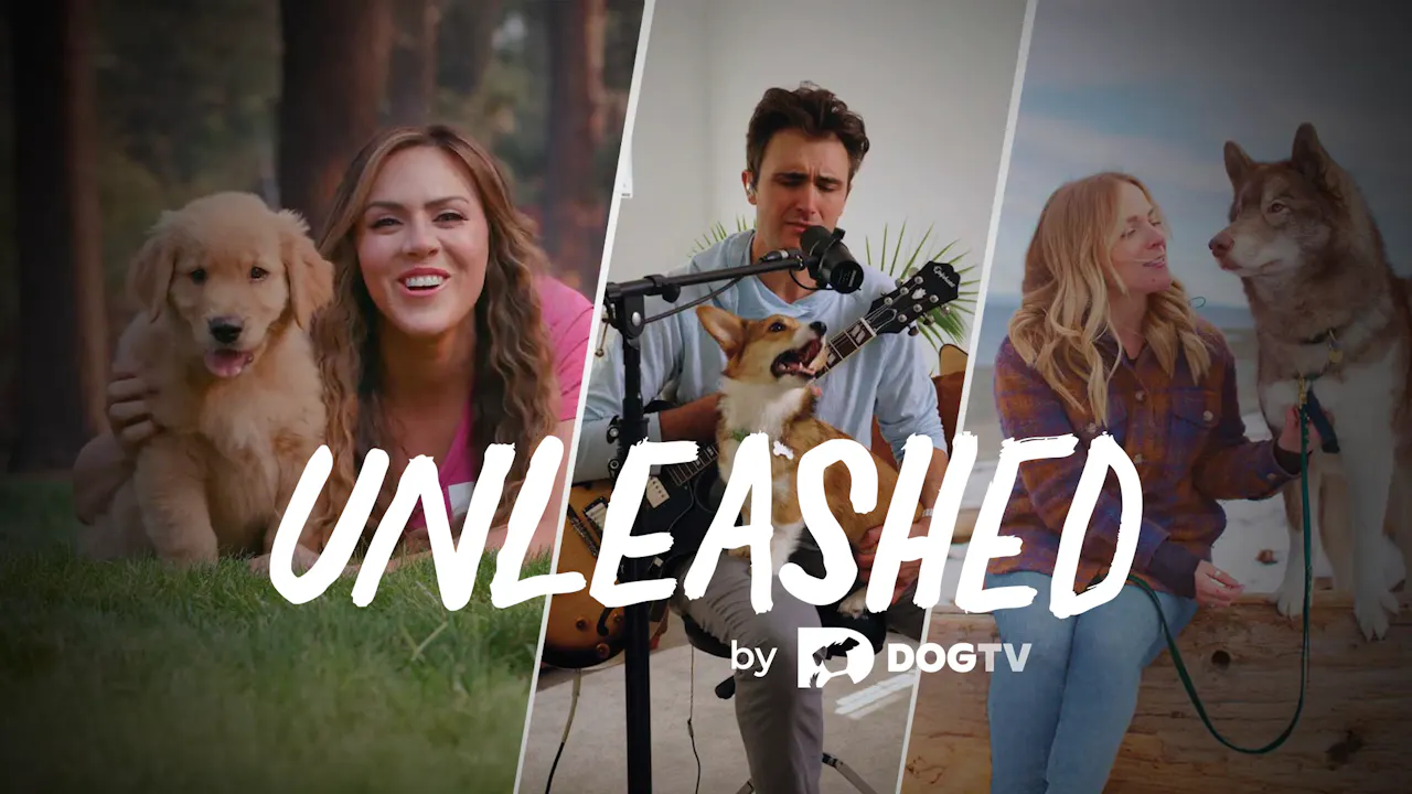 Unleashed by DOGTV (trailer) - DOGTV