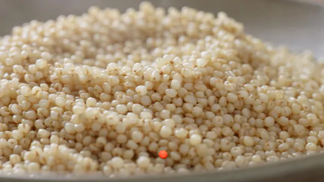 Quinoa
