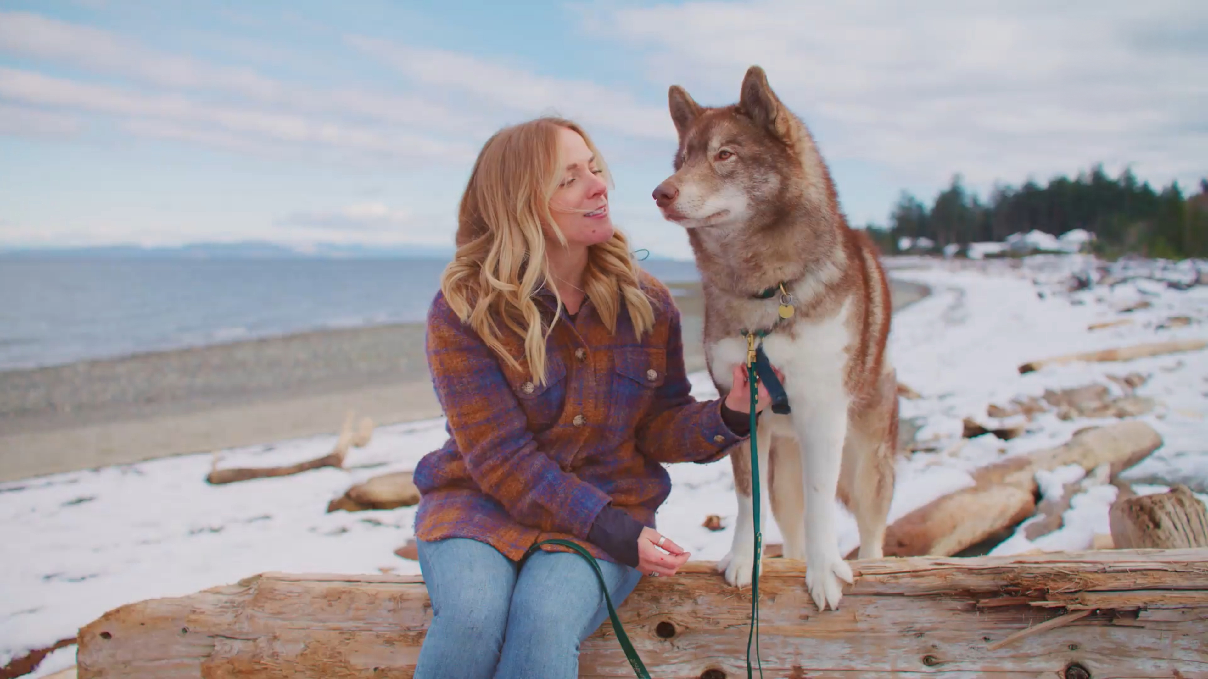 3 Ways Our Dogs Improve Our Lives