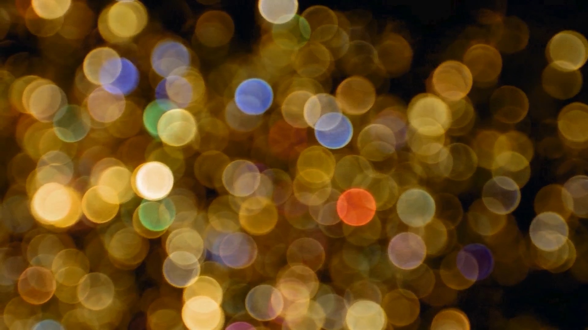 City Lights in Soft Focus