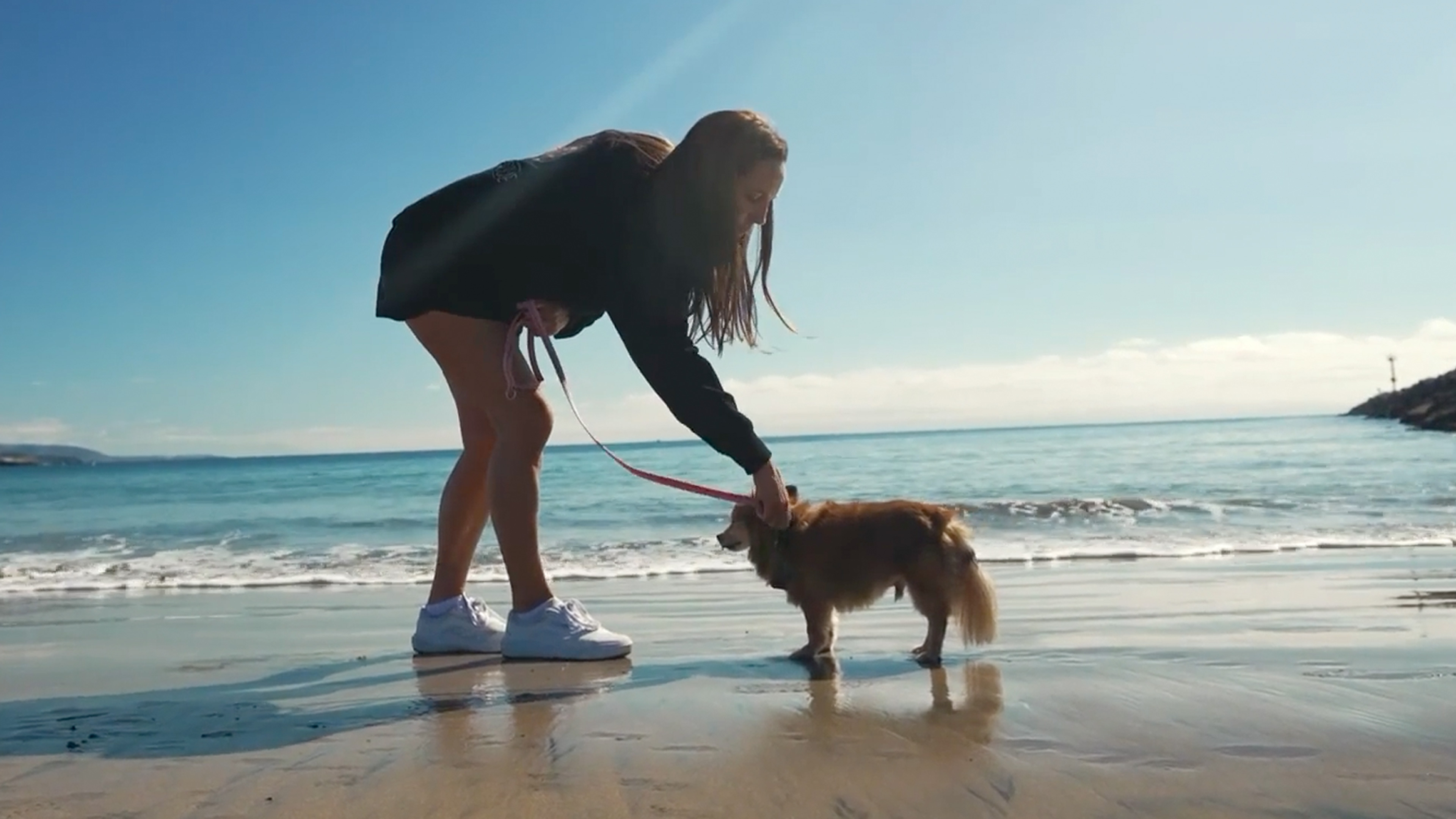 Tiny Dogs, Big Hearts