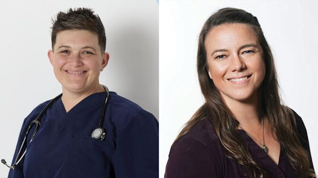 Pet Health Breakthroughs, Vet Insight...