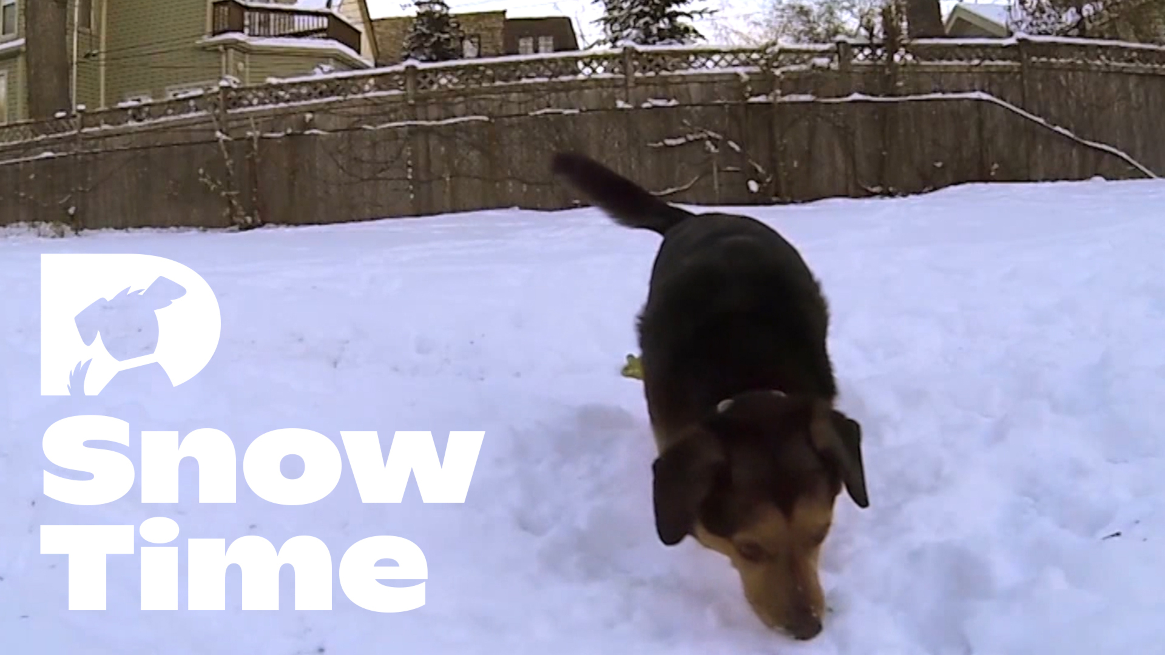 Relaxation: Snow Time