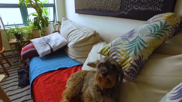 Calm on the Couch