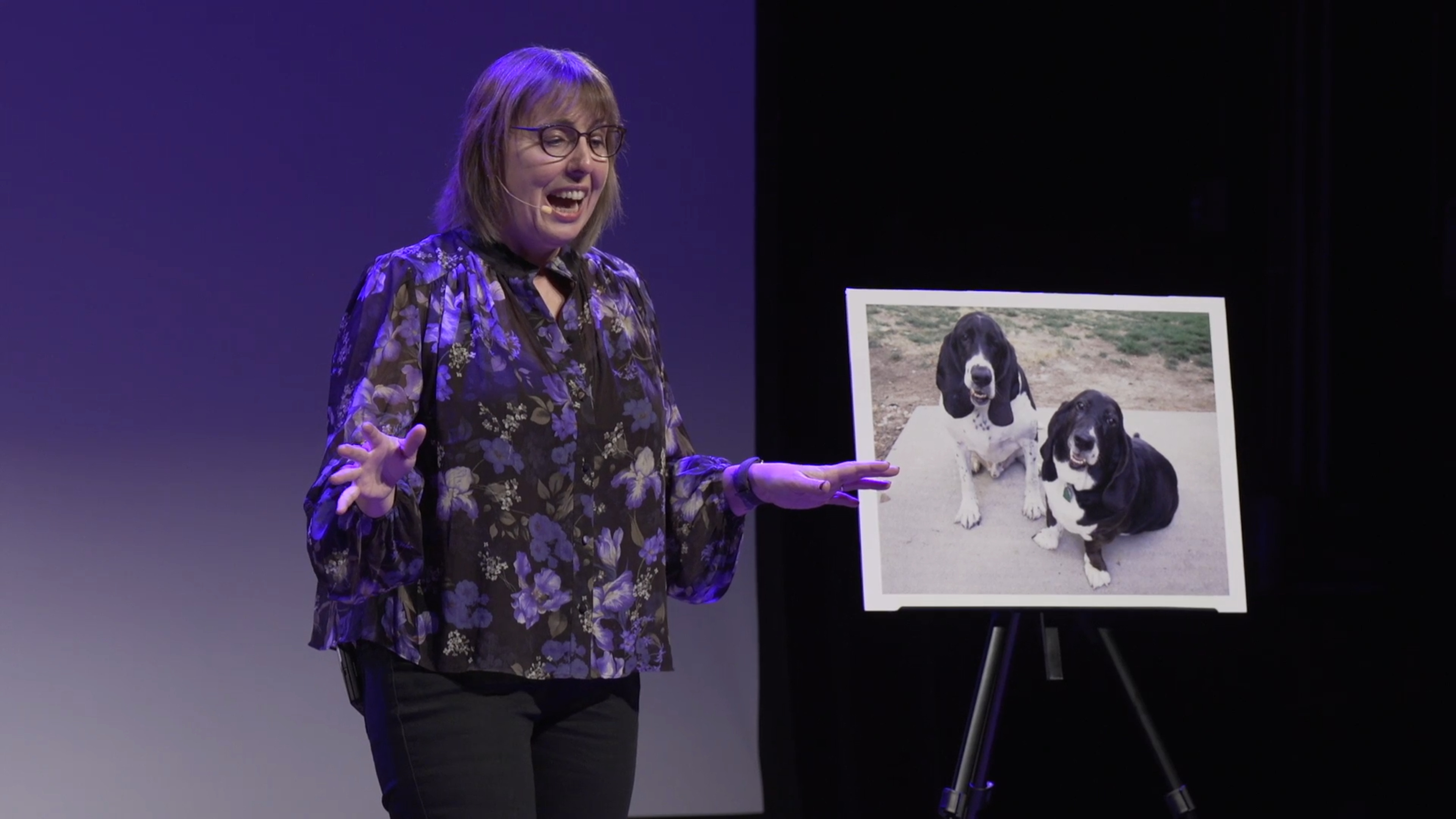 Pet Photography: A Photo Is Not Worth 1000 Words